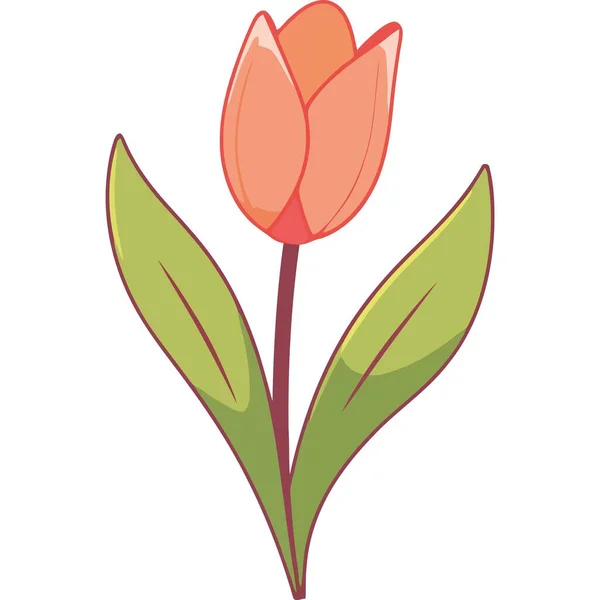 Beauty Orange Tulip Flower Icon Isolated — Stock Vector