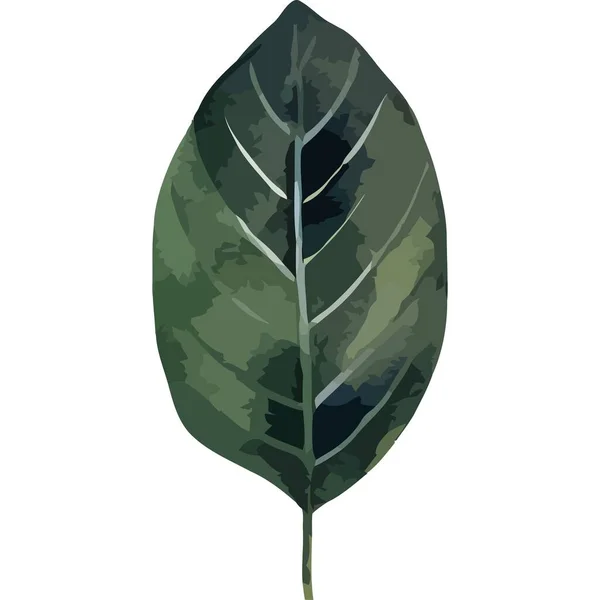 単離された緑の植物の自然のアイコンの葉 — ストックベクタ