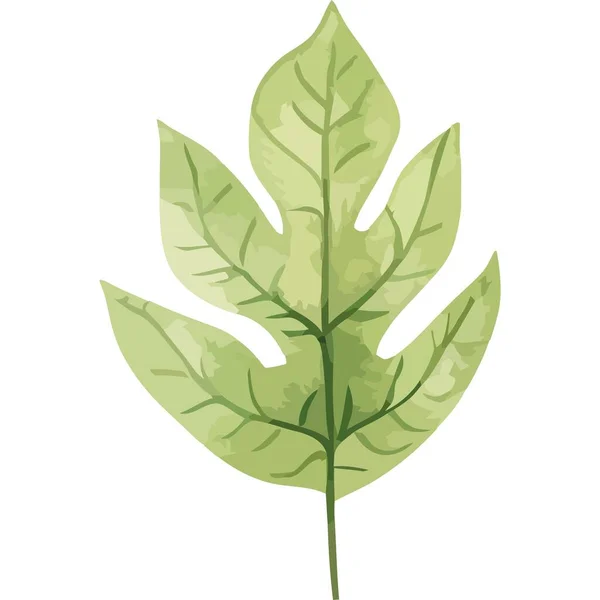 Grüne Blatt Pflanze Natur Ikone Isoliert — Stockvektor