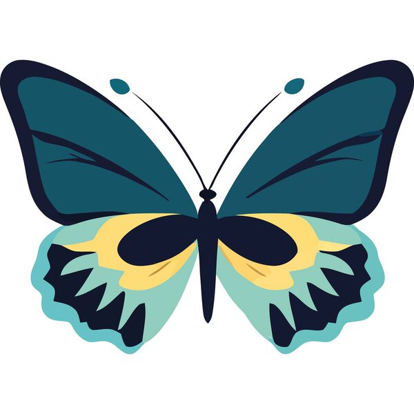 Beauty Blue Butterfly Wings Open Isolated — Stock Vector