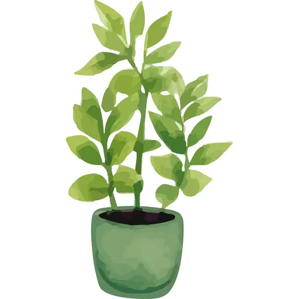 Кімнатна Рослина Зеленому Горщику Ізольована — стоковий вектор