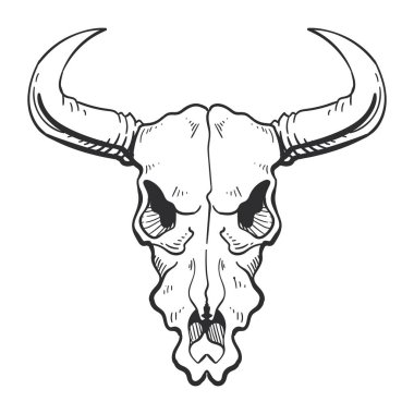 boğa kafatası kabilesi izole edilmiş ikon vektörü