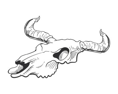 Boğa kafatası eli izole edilmiş ikon vektörü çizdi