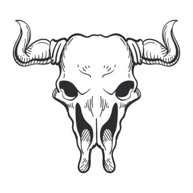 Boğa kafatası yaban ikonu vektörü