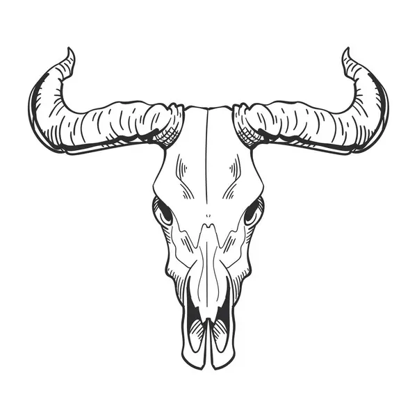 Toro Cráneo Cuernos Aislado Icono Vector — Vector de stock