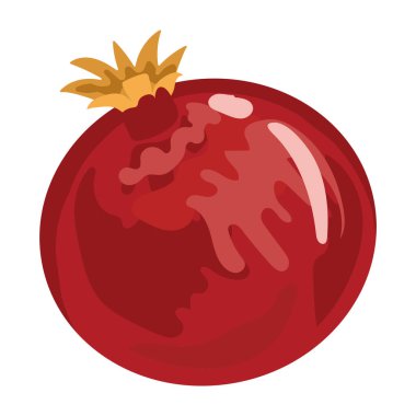 nar meyvesi izole edilmiş ikon vektörü
