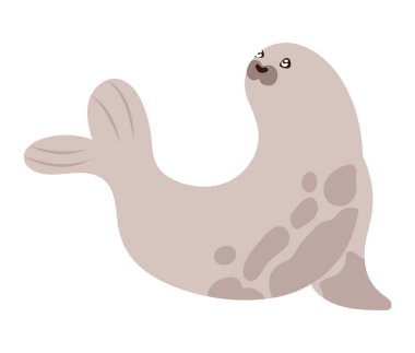 artik hayvan fok ikonu izole edildi