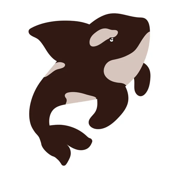 Artic Animal Orca Whale Isolated Icon — Stock Vector