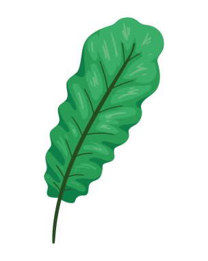 Egzotik yaprak bitkisi palmiye ikonu