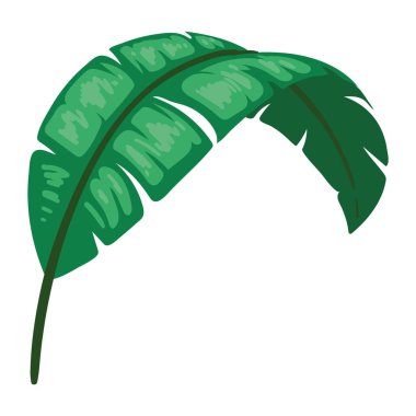 Egzotik yaprak bitkisi bitkisi ikonu izole