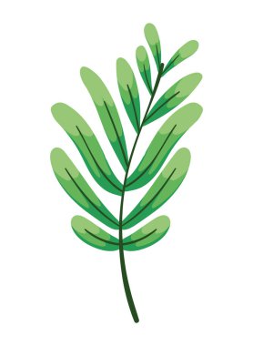 egzotik yaprak bitkisi ikonu