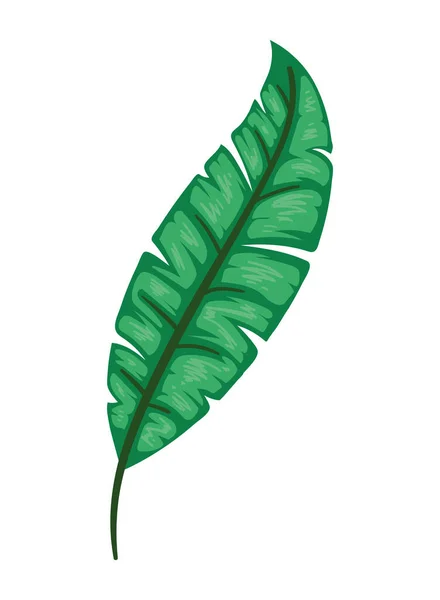 Exotiska Blad Växt Illustration Isolerad Ikon — Stock vektor