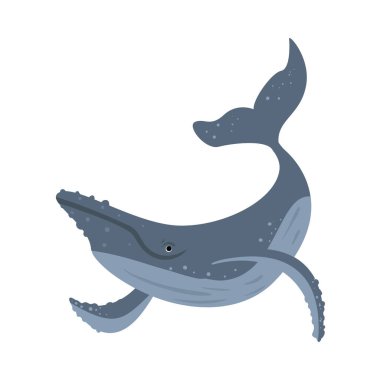 kambur balina tasarımı çizimi izole edildi