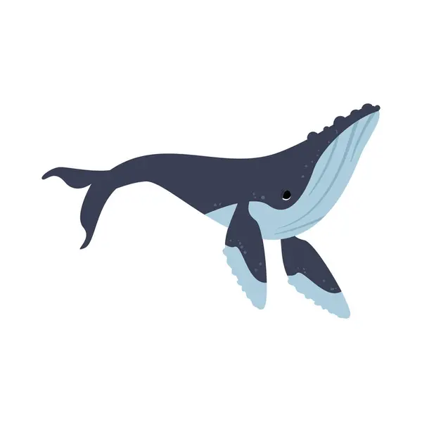 Buckelwal Sealife Animal Illustration Isoliert — Stockvektor