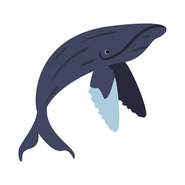 単離されたHumpback Sealifeの生き物のイラスト — ストックベクタ