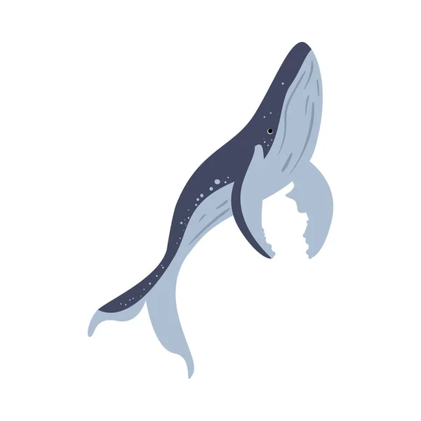 座头鲸热带图解孤立 — 图库矢量图片