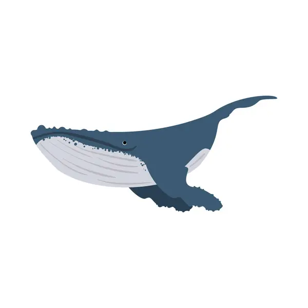 Humpback Sealife Nature Illustration Isolated — Stock Vector