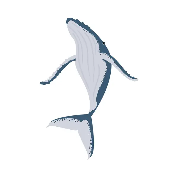 座头鲸游泳图解孤立 — 图库矢量图片