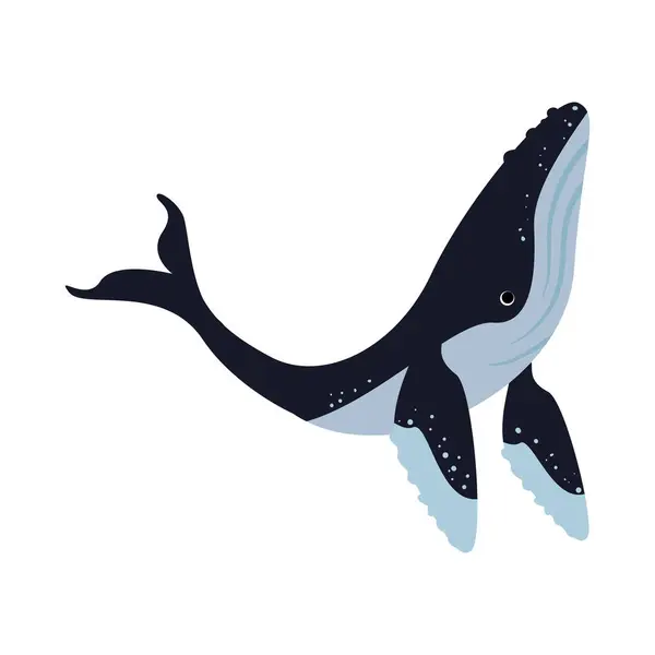 Buckelwale Leben Isoliert Illustration Design — Stockvektor