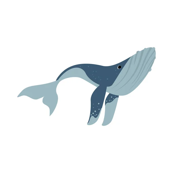 Humpback Sealife Illustration Design Isolated — Stock Vector