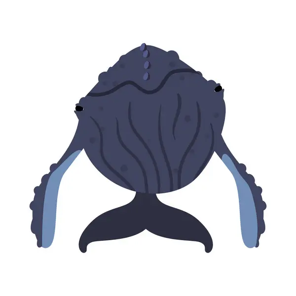 Humpback Sealife Απεικόνιση Μπροστινή Όψη Απομονωμένη — Διανυσματικό Αρχείο