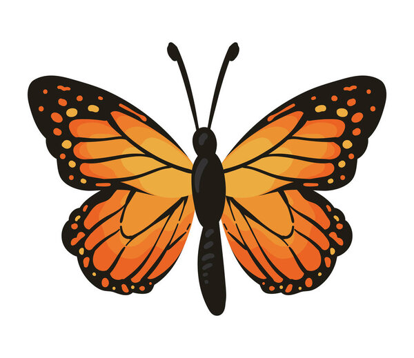Butterfly Monarca Illustration Isolated Vector — Stock Vector