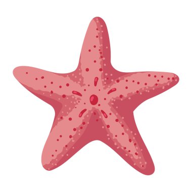 Pembe deniz yıldızı deniz yaşamı izole edilmiş.