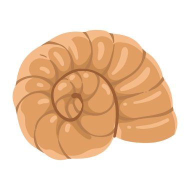 Deniz salyangozu yumuşakçaları izole edilmiş.