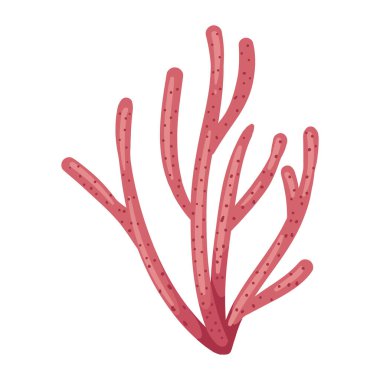 Deniz yaşamı mercan çizimi izole edilmiş