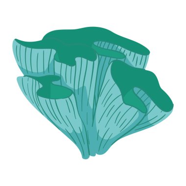 Deniz yaşamı mercan çizimi izole edilmiş