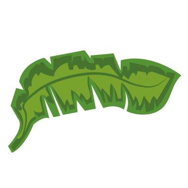 Palmiye yaprağı muz illüstrasyon tasarımı