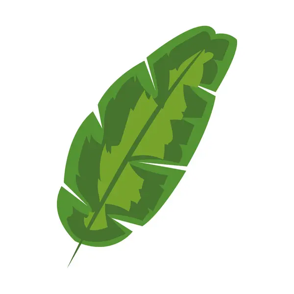 Palm Leaf Nature Illustration Design — Stock Vector