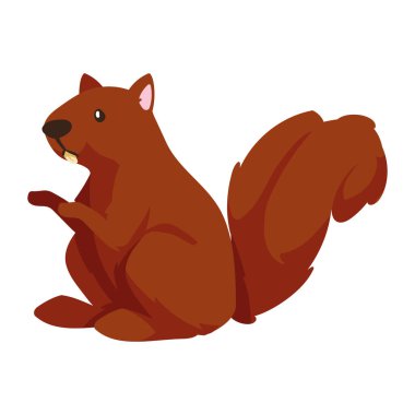 Orman hayvanı sincap çizimi tasarımı