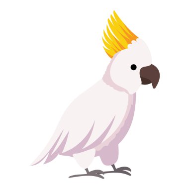 Avusturalya hayvan kakadusu çizimi izole edildi