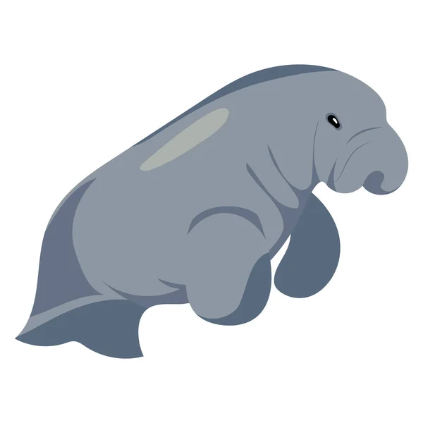 stock vector australia animal dugong illustration isolated