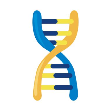 down sendromu DNA molekülü çizimi izole edildi