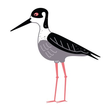 Siyah boyunlu yapışkan kuş izole edildi