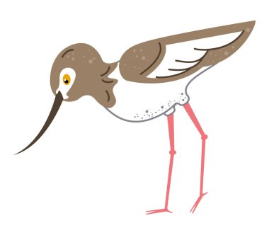 Yaygın keskin nişancı kuş çizgi filmi izole edildi