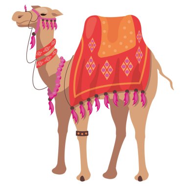 Hindistan 'da bikaner deve festivali izole edildi