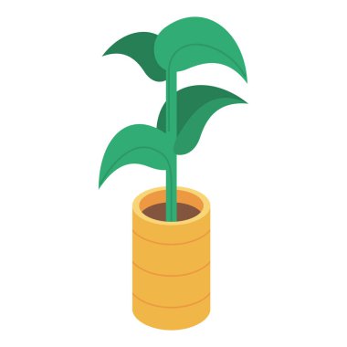 ev bitkisi izole tasarım bırakır