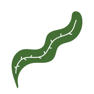 Yaprak çizimi doğa ögesi simgesi izole