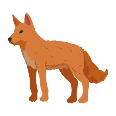 Çakal çöl hayvan ikonu izole edildi.