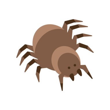 Örümcek Çölü hayvan simgesi izole edildi