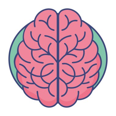 Ön görünüm beyin anatomik çizimi