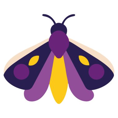 Gizemli güve büyülü böcek simgesi izole edilmiş vektör