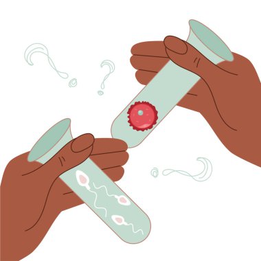 Elle yapılan resimde suni döllenme için sperm hücresi ve yumurta hücresiyle test tüpü tutuluyor. İllüstrasyon, poster kliniği için iyidir. Bu vektör çizimi el çizimi sanatıyla yapıldı..