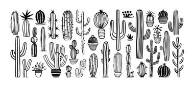 El çizimi kaktüs bitkisi karalama seti. Klasik tarz siyah beyaz çizgi film kaktüsü ev bitkisi illüstrasyon koleksiyonu. Doğanın izole edilmiş bir elementi çöl bitkisi, Meksika bahçe demeti..
