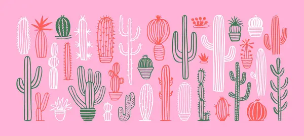 Set Scarabocchi Piante Cactus Disegnati Mano Collezione Illustrazione Cactus Casalinghi Grafiche Vettoriali