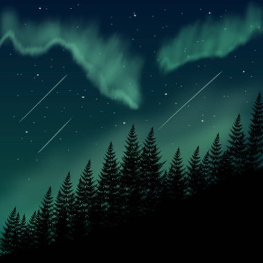 Aurora borealis meteor ve yıldızlı gece gökyüzü grafik duvar kağıdı arka planı ile çam ormanı manzarası