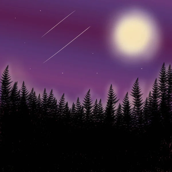 Вид Сосновый Лес Метеоритом Луной Звездного Ночного Неба Графические Обои — стоковое фото